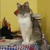 Отзыв от Нинель Горелова
